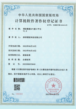 LeadData API Interface Platform V1.0